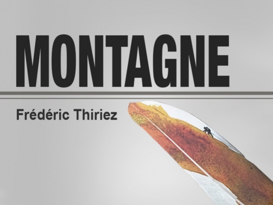 Montagne les plus belles pages, de l’antiquité à nos jours 