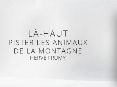 Là-haut - Pister les animaux